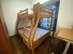 Sims Dorado (D14), Apartment #557760751